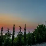 Matula
